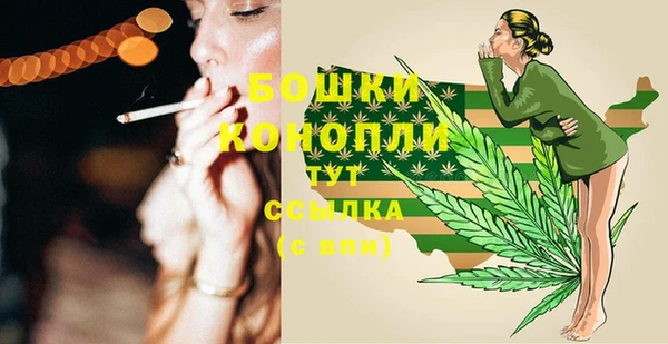 мдпв Володарск