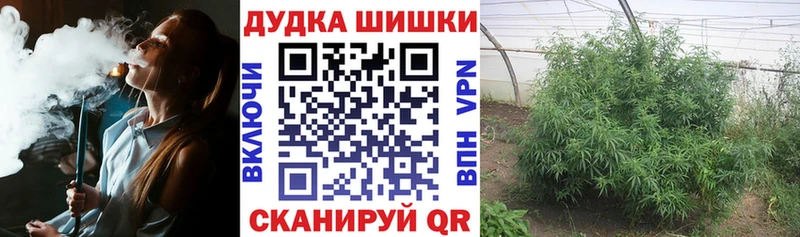 магазин продажи наркотиков  Гусев  Бошки марихуана гибрид 
